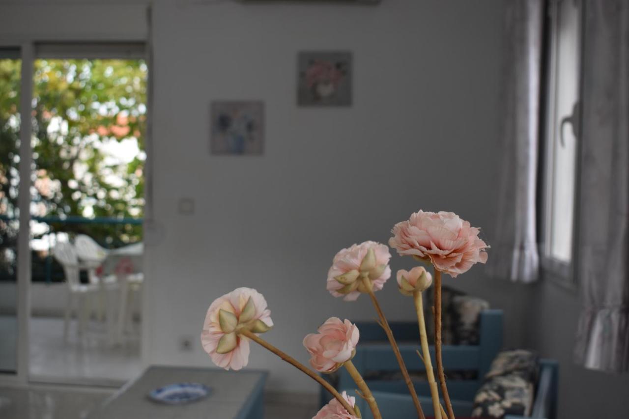 Niki Apartments 폴리크로노 외부 사진